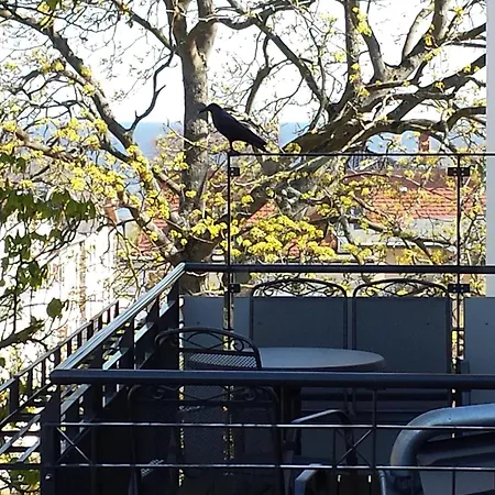 アパート Bismarckshoehe Alma ゼーバート・ヘリングスドルフ