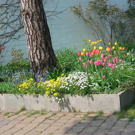 アパート Bismarckshoehe Alma