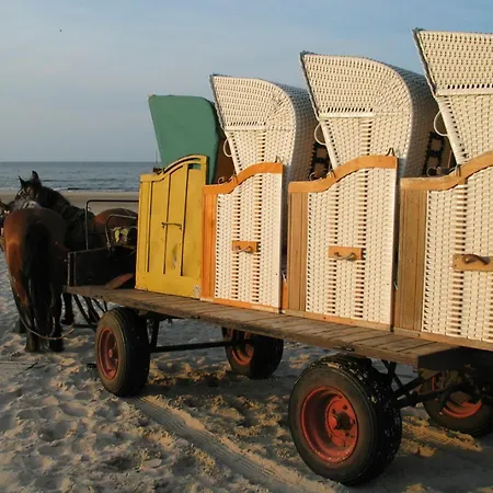 Bismarckshoehe Alma ゼーバート・ヘリングスドルフ