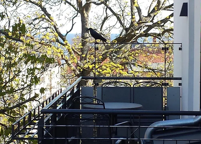 Διαμέρισμα Bismarckshoehe Alma Χέρινγκσντορφ